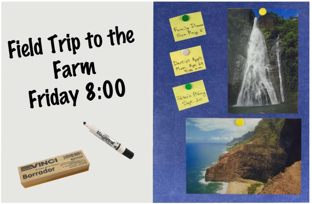 Indigo Blue Medium Boards with scenic destination photos and handwritten appointments with tacks on bulletin side, reminder written with marker and eraser on dry erase side